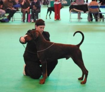 Hazel Max at Crufts