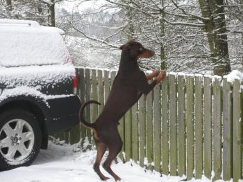Whats over here